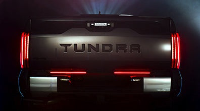LED Tailgate Light Bar (Dealer Installed)